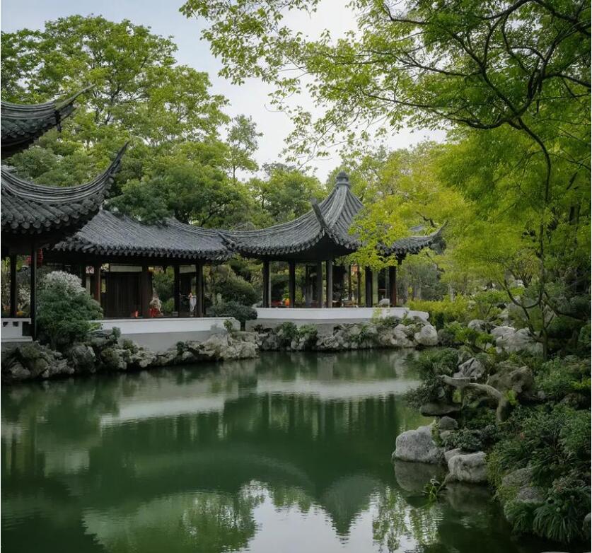 雅安雨城从寒航空航天有限公司