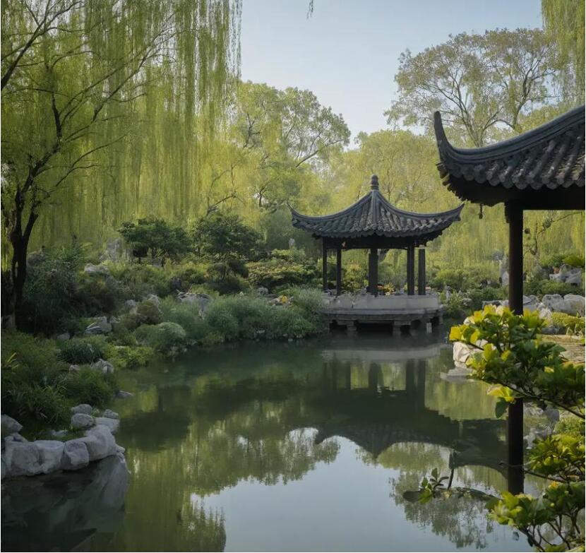 雅安雨城从寒航空航天有限公司